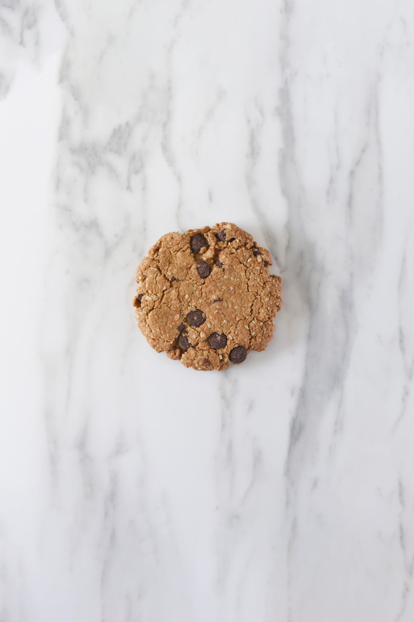 Chocolate chip Cookie